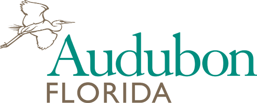 Audubon